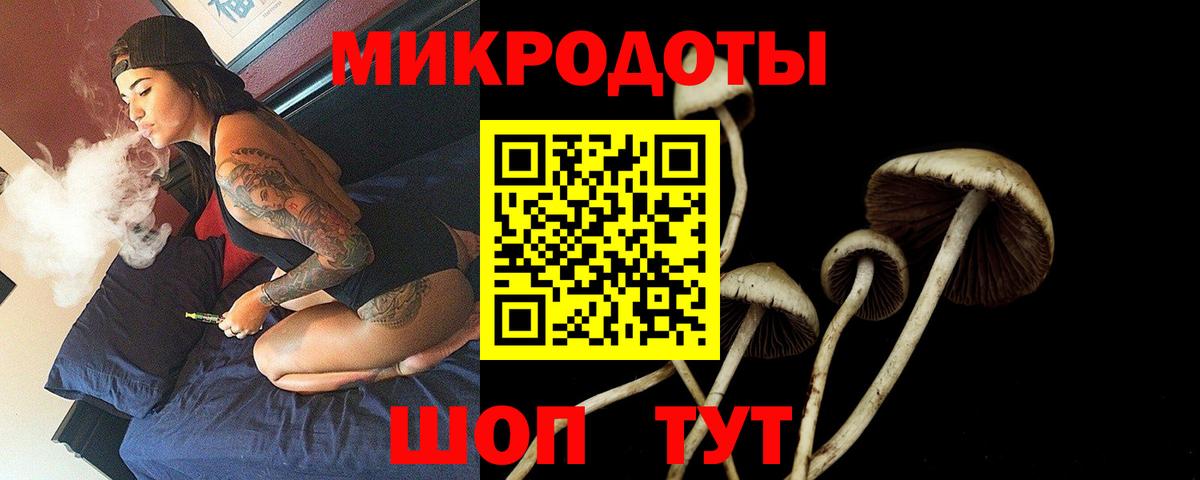 Галлюциногенные грибы Psilocybine cubensis Саров