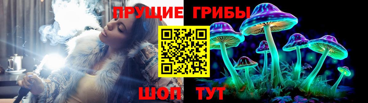 Саров  Псилоцибиновые грибы прущие грибы  Вход с VPN 